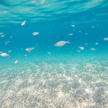 Complejo Turistico Los Bayiyos أغوا امارجا المظهر الخارجي الصورة
