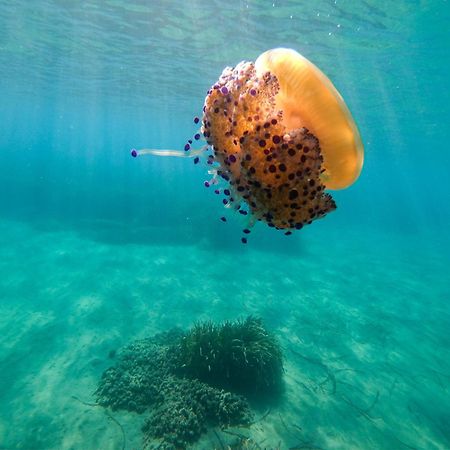 Complejo Turistico Los Bayiyos أغوا امارجا المظهر الخارجي الصورة