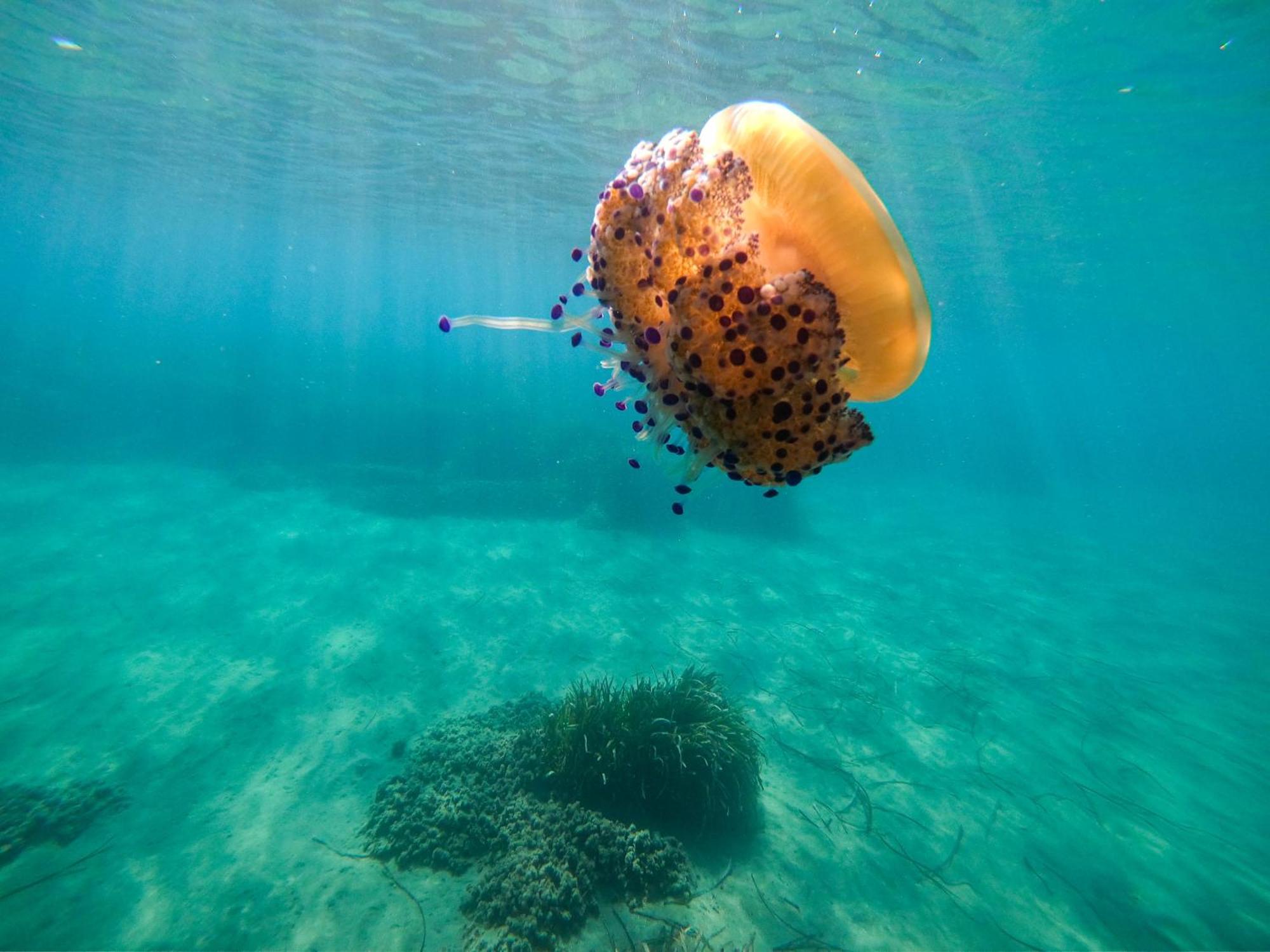 Complejo Turistico Los Bayiyos أغوا امارجا المظهر الخارجي الصورة
